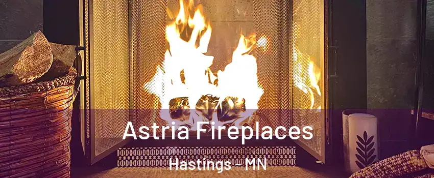  Astria Fireplaces Hastings - MN