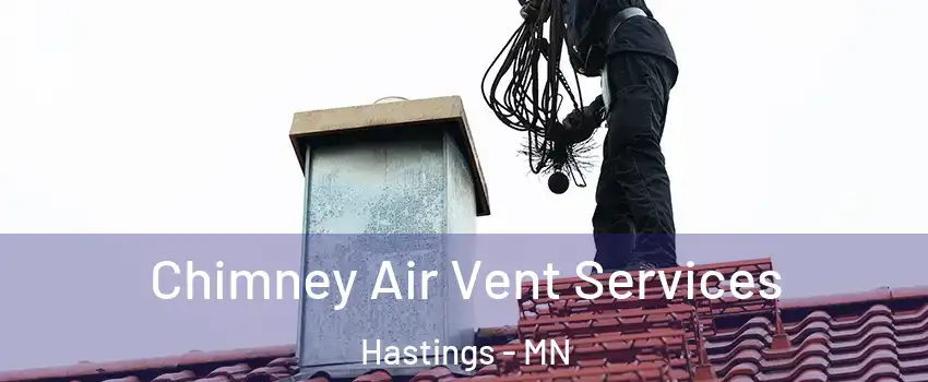  Chimney Air Vent Services Hastings - MN