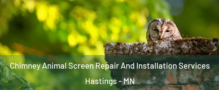  Chimney Animal Screen Repair And Installation Services Hastings - MN