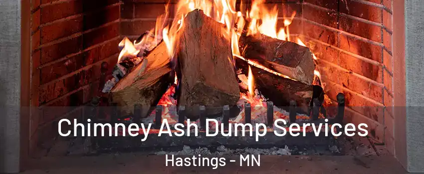  Chimney Ash Dump Services Hastings - MN