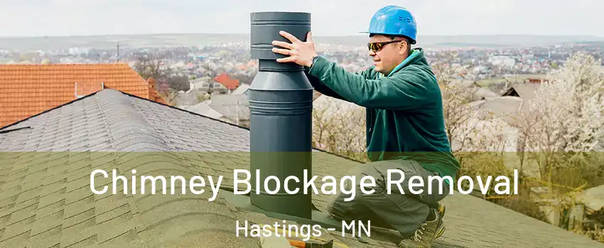  Chimney Blockage Removal Hastings - MN