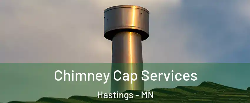  Chimney Cap Services Hastings - MN