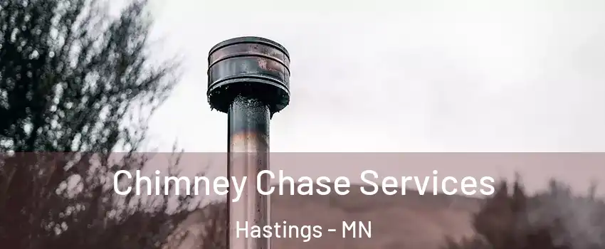  Chimney Chase Services Hastings - MN