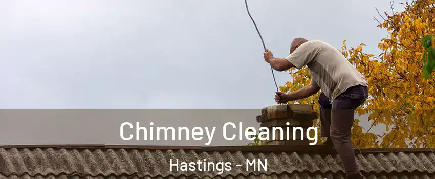 Chimney Cleaning Hastings - MN