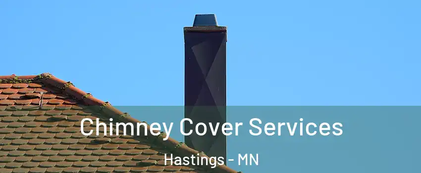 Chimney Cover Services Hastings - MN