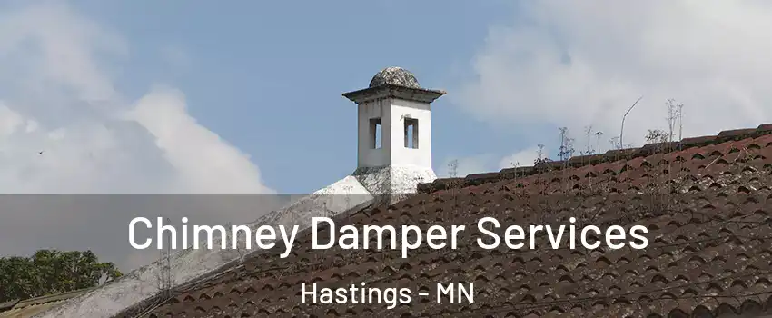  Chimney Damper Services Hastings - MN