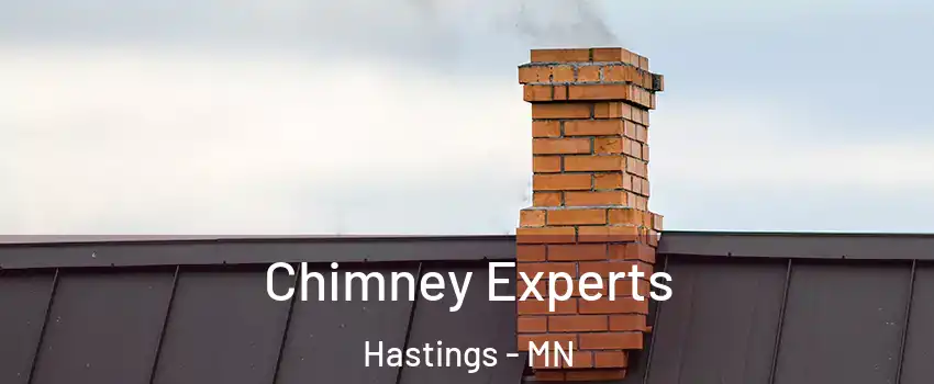 Chimney Experts Hastings - MN
