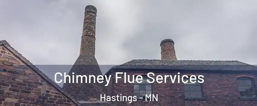  Chimney Flue Services Hastings - MN