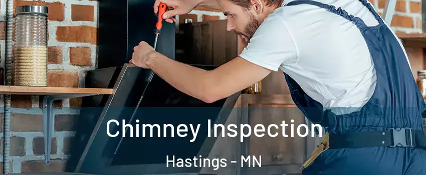  Chimney Inspection Hastings - MN