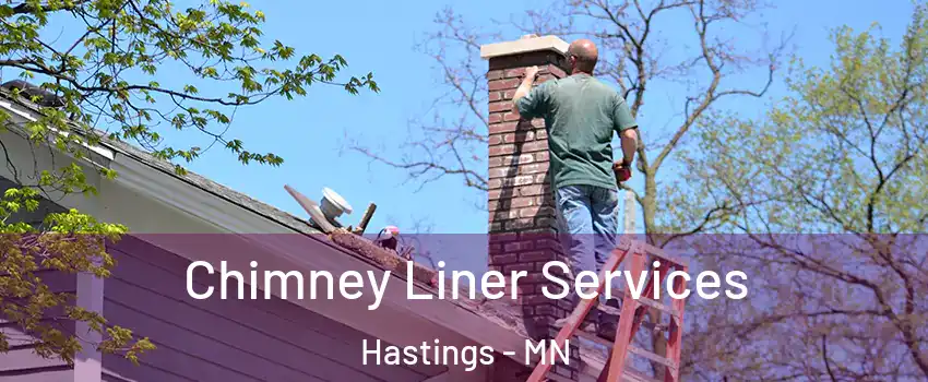  Chimney Liner Services Hastings - MN