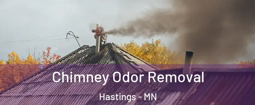  Chimney Odor Removal Hastings - MN