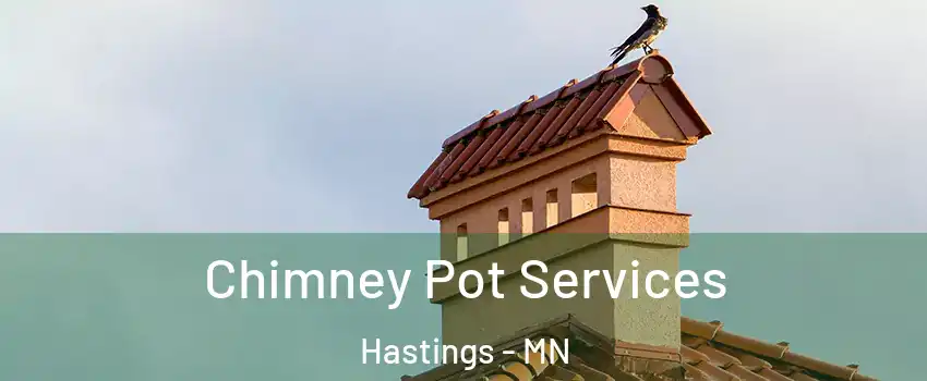  Chimney Pot Services Hastings - MN
