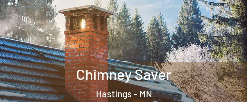  Chimney Saver Hastings - MN