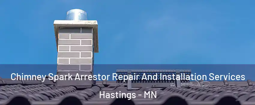  Chimney Spark Arrestor Repair And Installation Services Hastings - MN