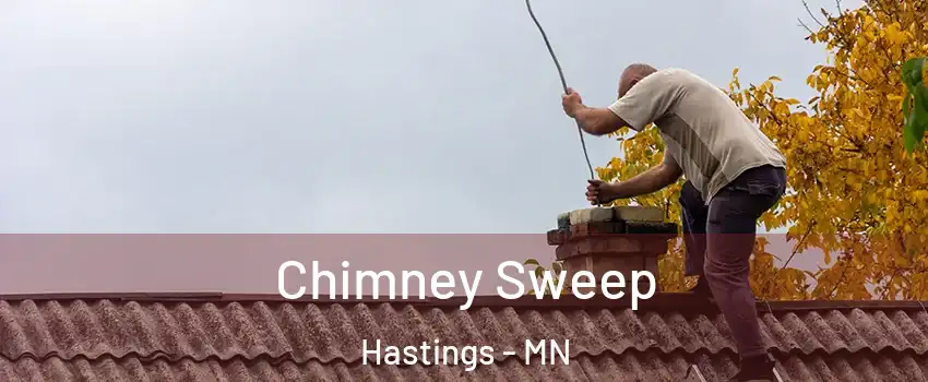  Chimney Sweep Hastings - MN
