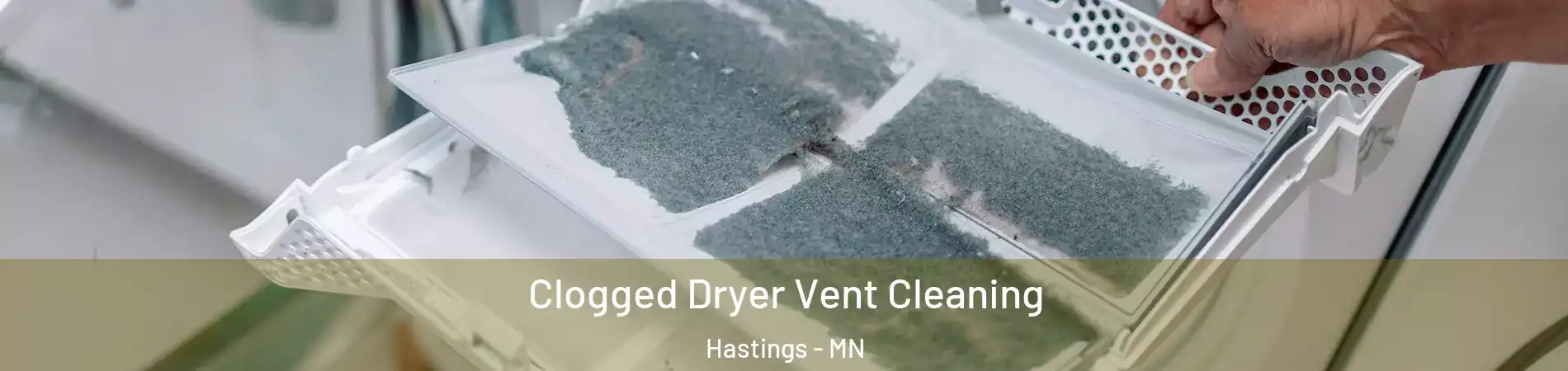  Clogged Dryer Vent Cleaning Hastings - MN