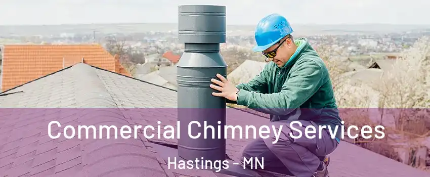  Commercial Chimney Services Hastings - MN