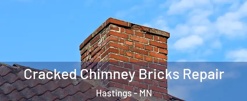  Cracked Chimney Bricks Repair Hastings - MN