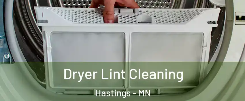  Dryer Lint Cleaning Hastings - MN
