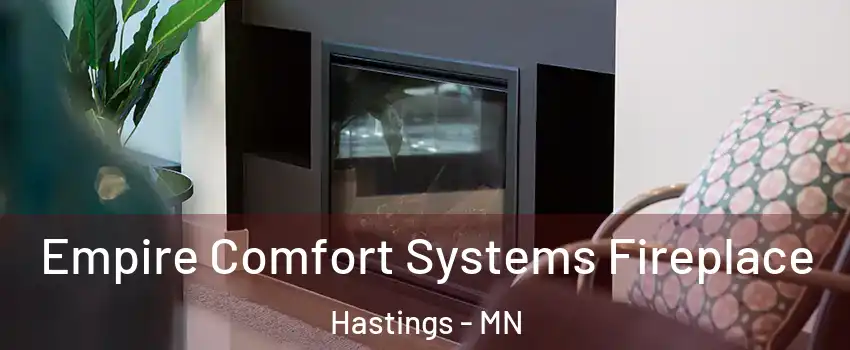  Empire Comfort Systems Fireplace Hastings - MN