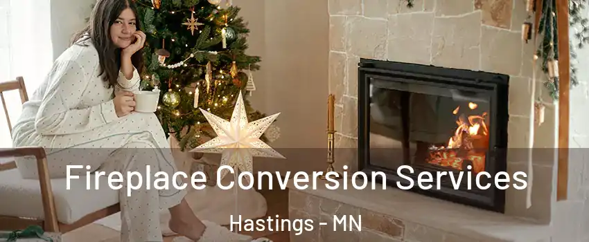  Fireplace Conversion Services Hastings - MN