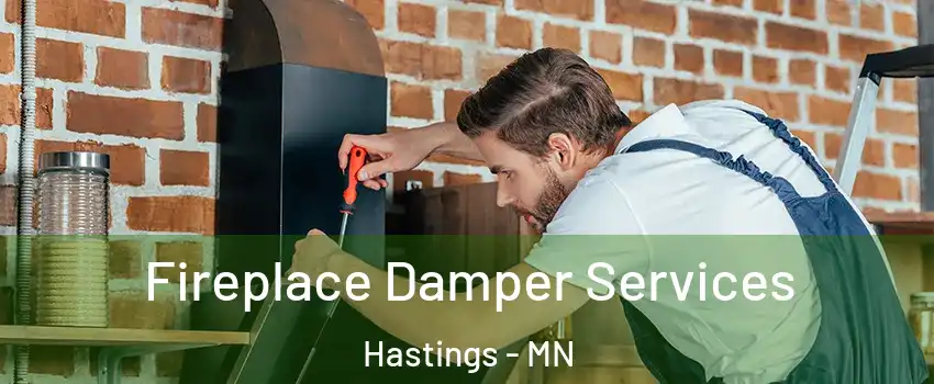  Fireplace Damper Services Hastings - MN