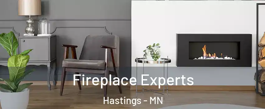  Fireplace Experts Hastings - MN