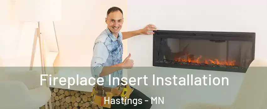  Fireplace Insert Installation Hastings - MN