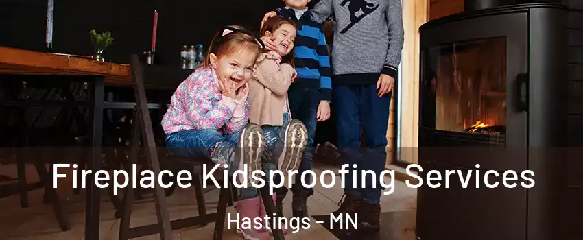  Fireplace Kidsproofing Services Hastings - MN