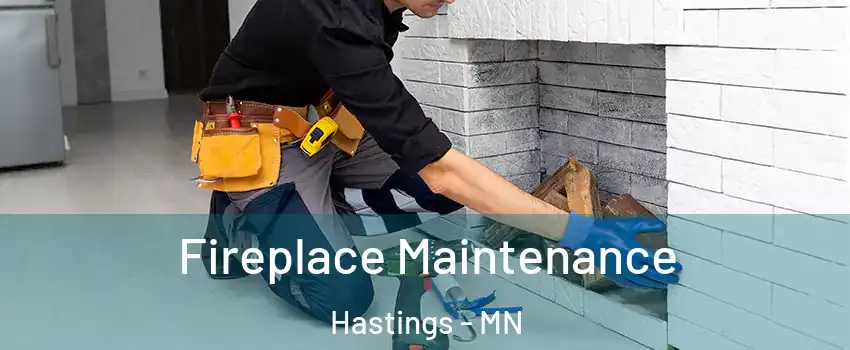  Fireplace Maintenance Hastings - MN