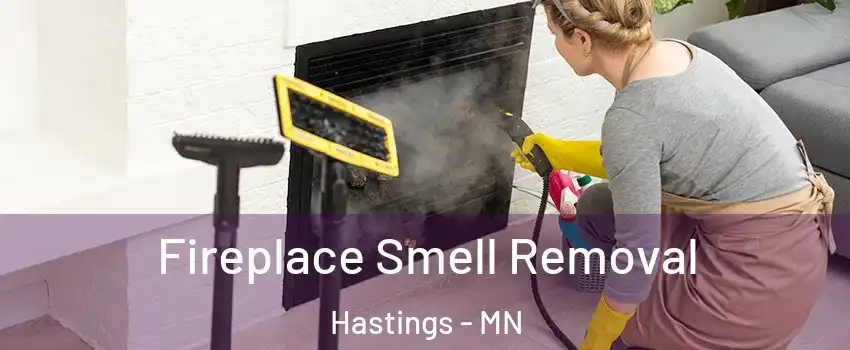  Fireplace Smell Removal Hastings - MN