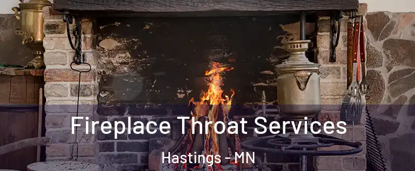  Fireplace Throat Services Hastings - MN
