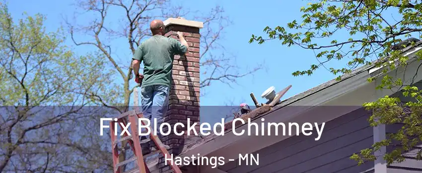  Fix Blocked Chimney Hastings - MN