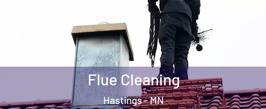  Flue Cleaning Hastings - MN