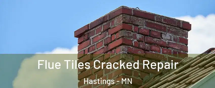  Flue Tiles Cracked Repair Hastings - MN