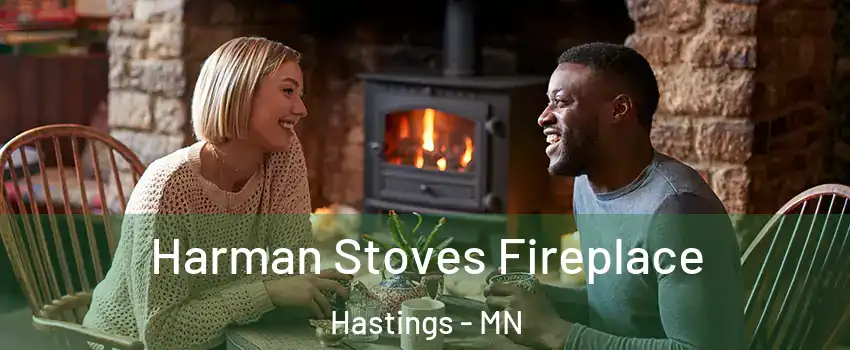  Harman Stoves Fireplace Hastings - MN