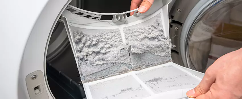Best Dryer Lint Removal Company in Hastings, Minnesota