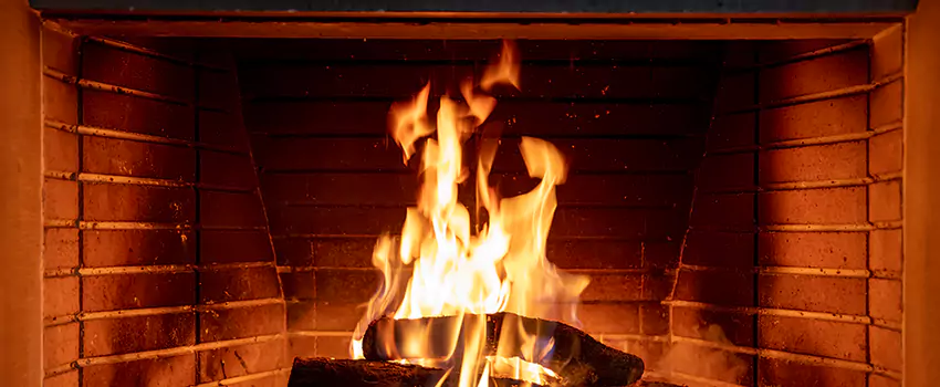 Soot Cleanup Services in Hastings, MN