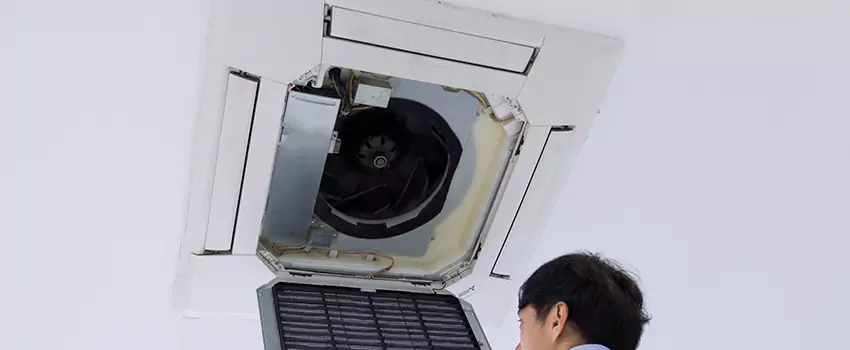 Benefits of Professional Air Duct Cleaning in Hastings, Minnesota
