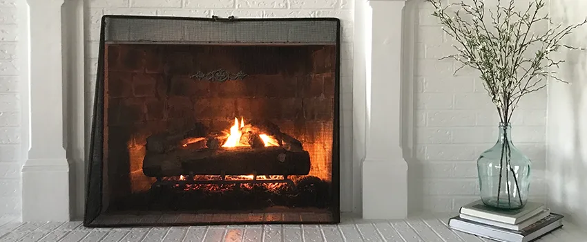 Cost-Effective Fireplace Mantel Inspection And Maintenance in Hastings, MN