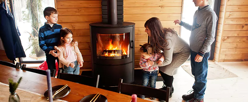 Jøtul Gas Fireplace Inspection Service in Hastings, Minnesota