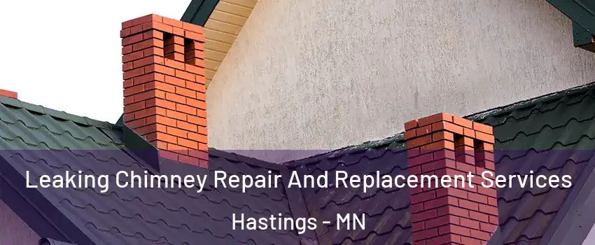  Leaking Chimney Repair And Replacement Services Hastings - MN