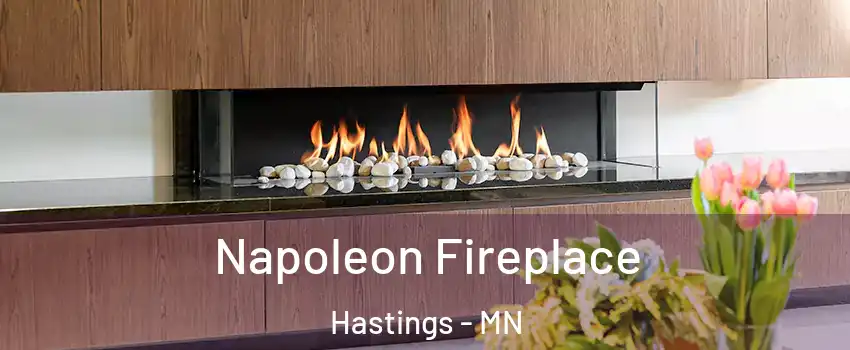 Napoleon Fireplace Hastings - MN
