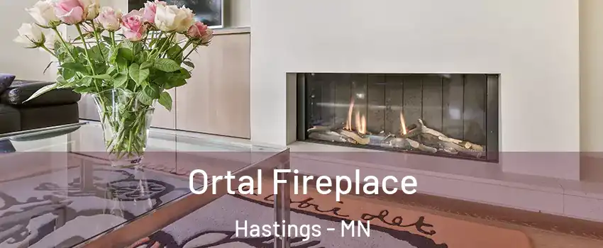 Ortal Fireplace Hastings - MN