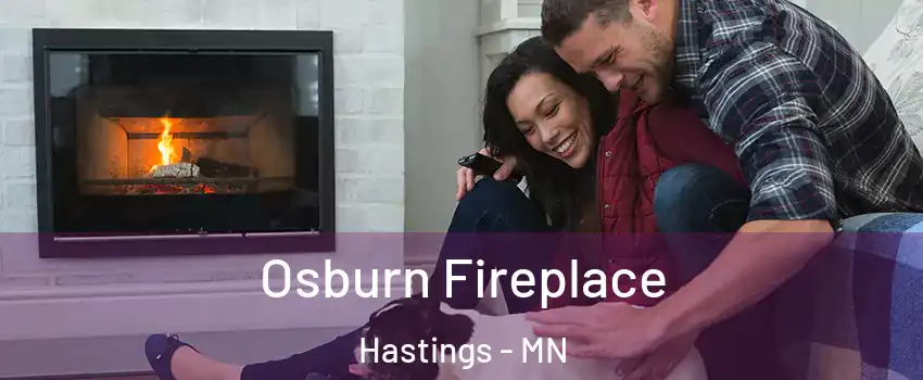  Osburn Fireplace Hastings - MN