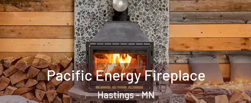  Pacific Energy Fireplace Hastings - MN