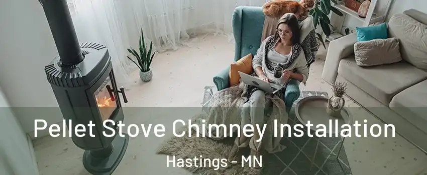  Pellet Stove Chimney Installation Hastings - MN