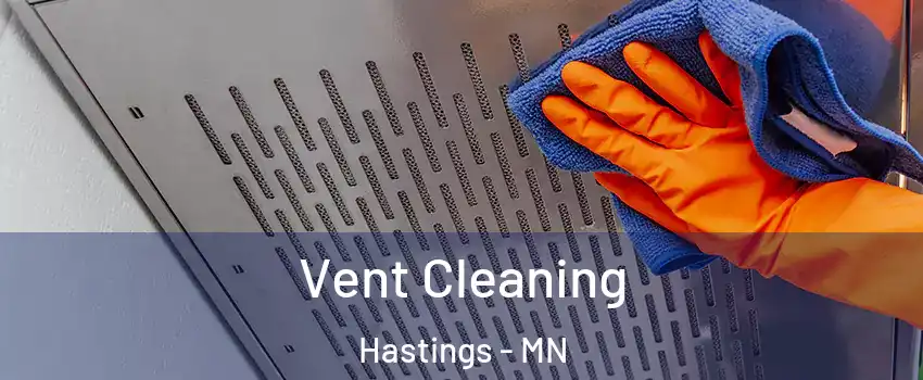  Vent Cleaning Hastings - MN