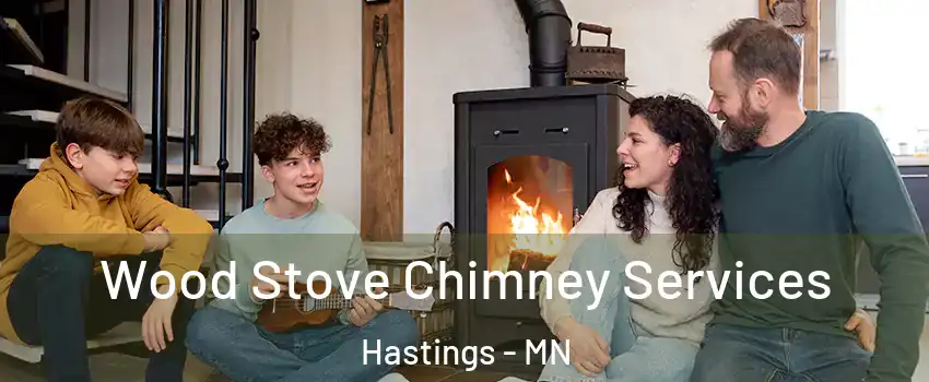 Wood Stove Chimney Services Hastings - MN