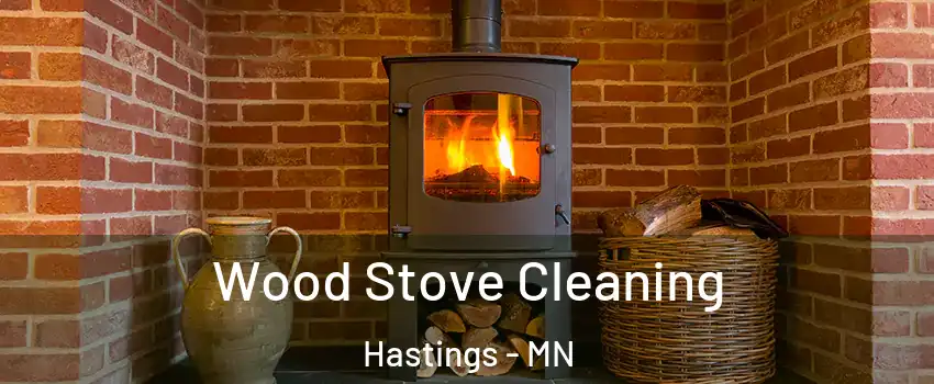  Wood Stove Cleaning Hastings - MN